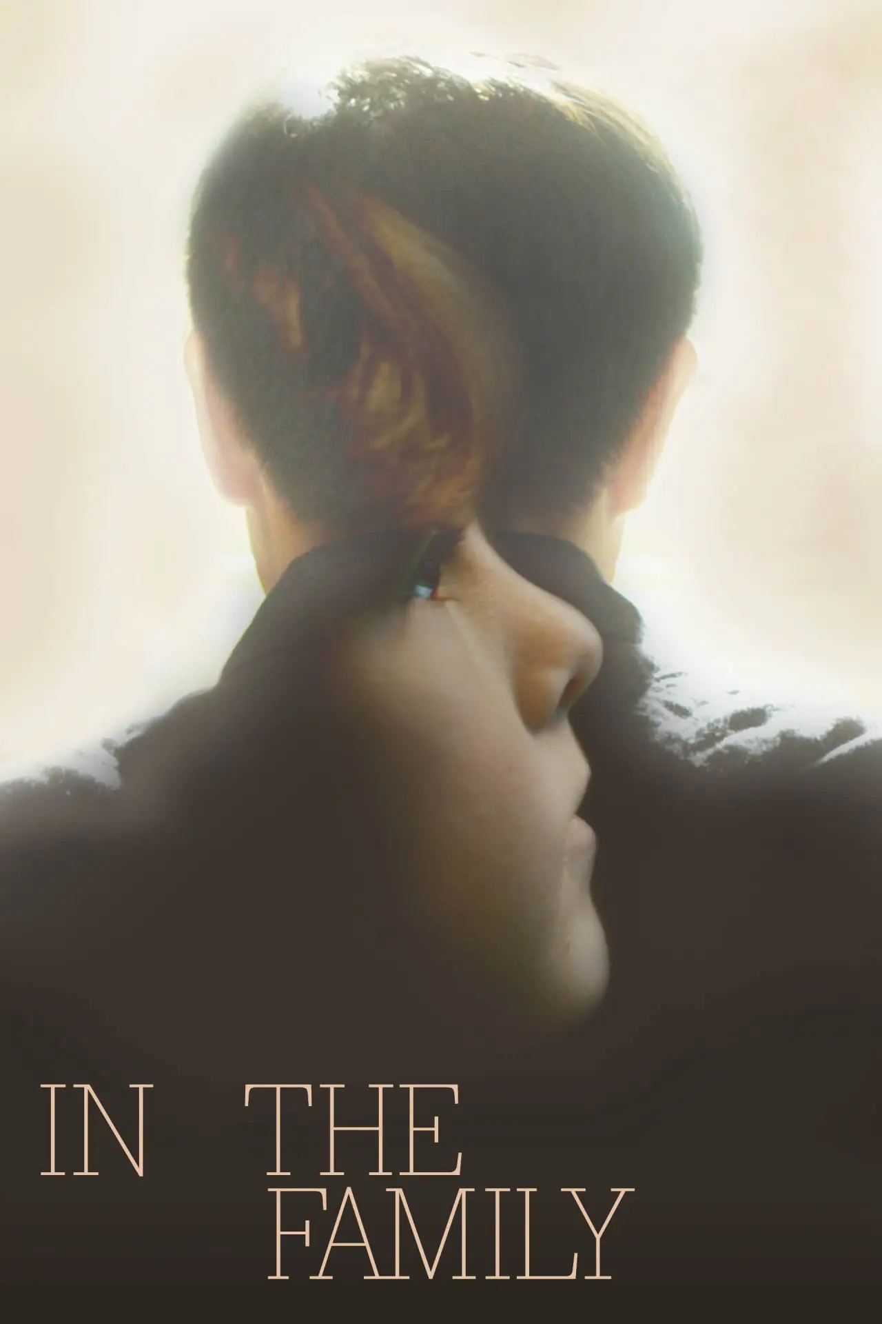 Постер к фильму "In the Family"