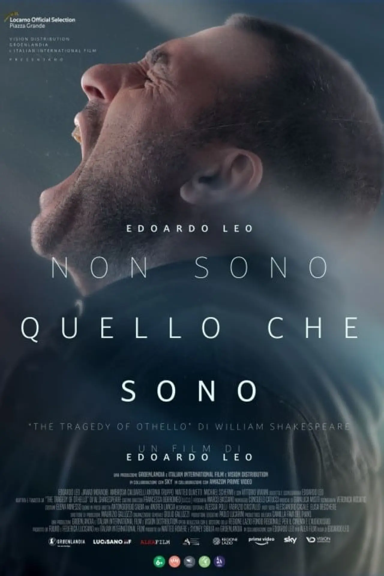 Постер к фильму "Non sono quello che sono"