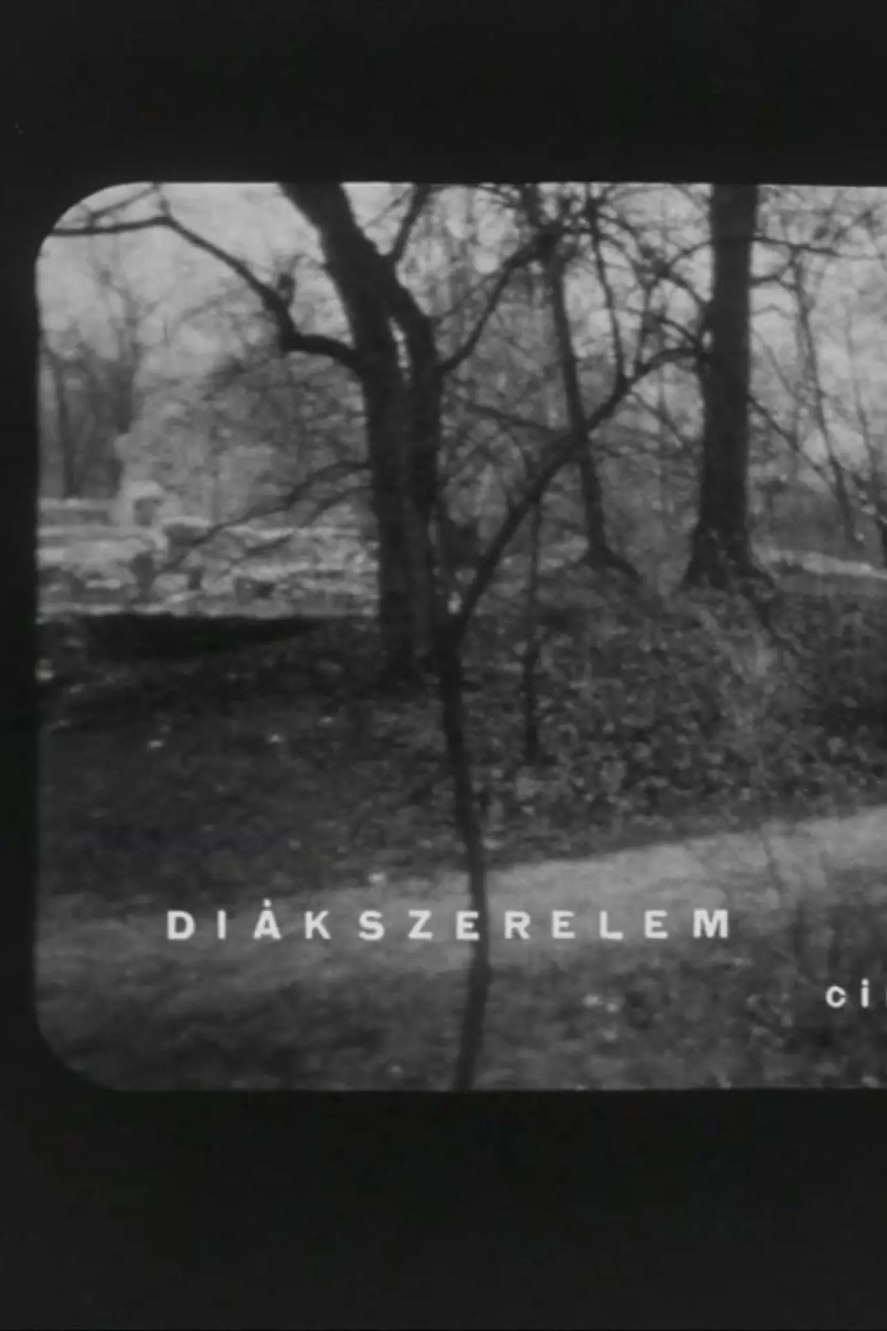 Постер к фильму "Diákszerelem"
