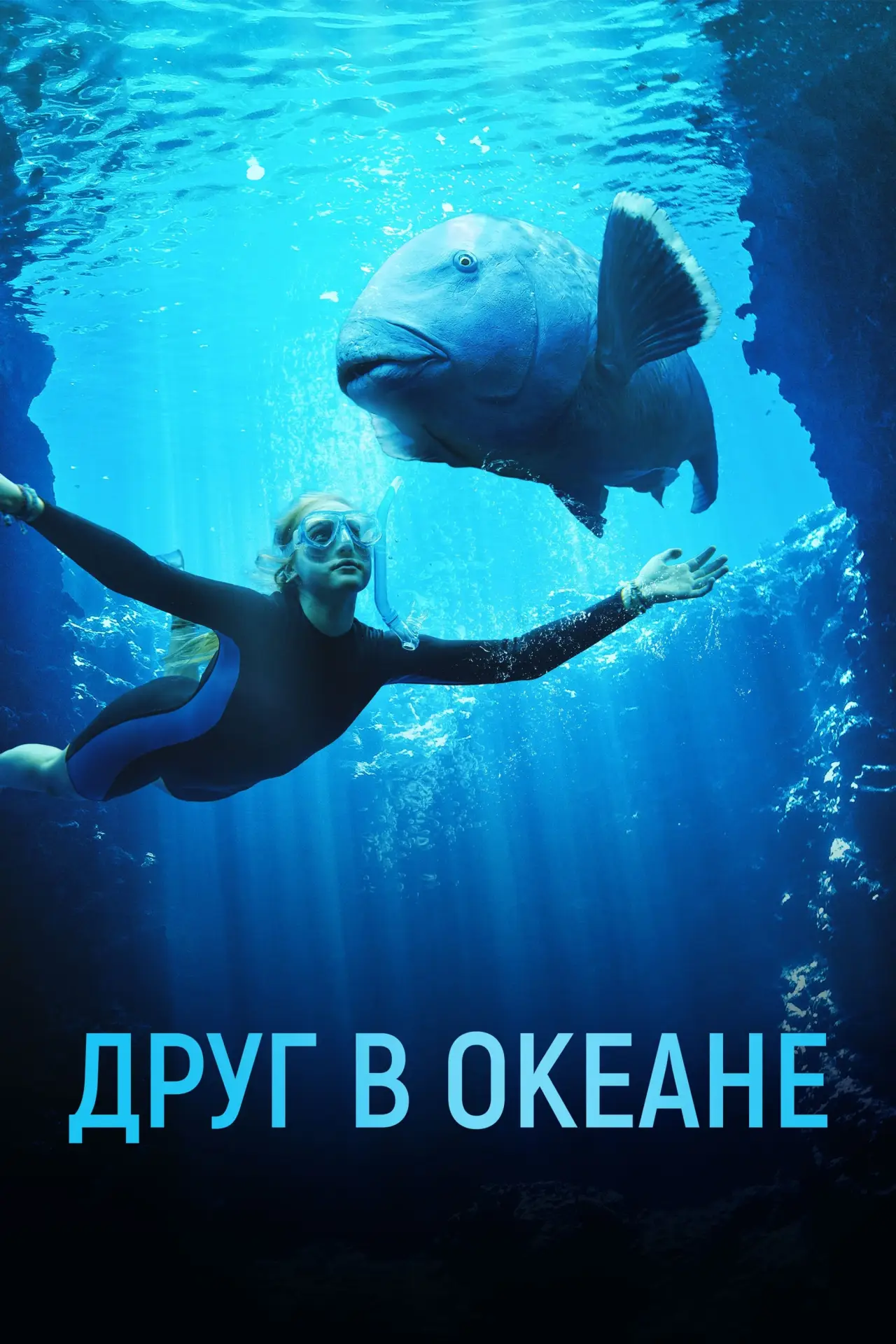 Постер к фильму "Друг в океане"