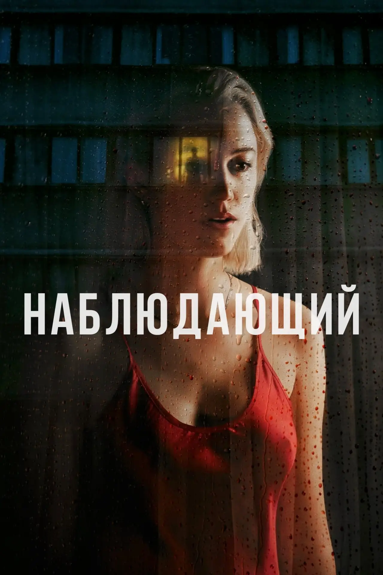 Постер к фильму "Наблюдающий"
