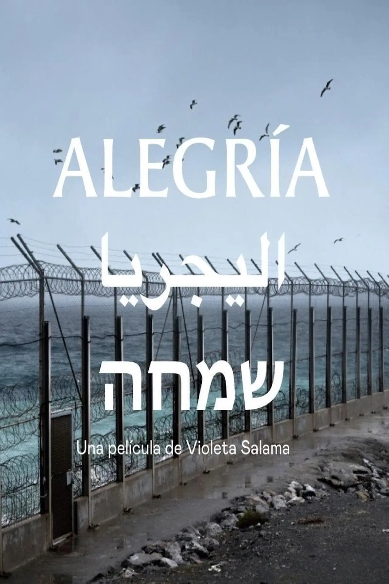 Постер к фильму "Alegría"