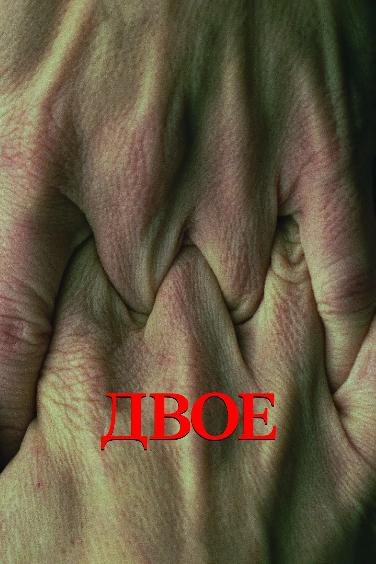 Постер к фильму "Двое"