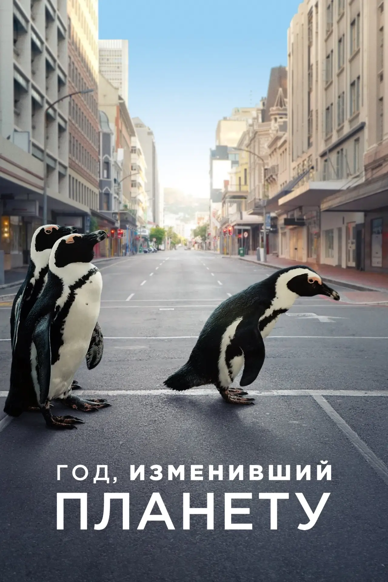 Постер к фильму "Год, изменивший планету"