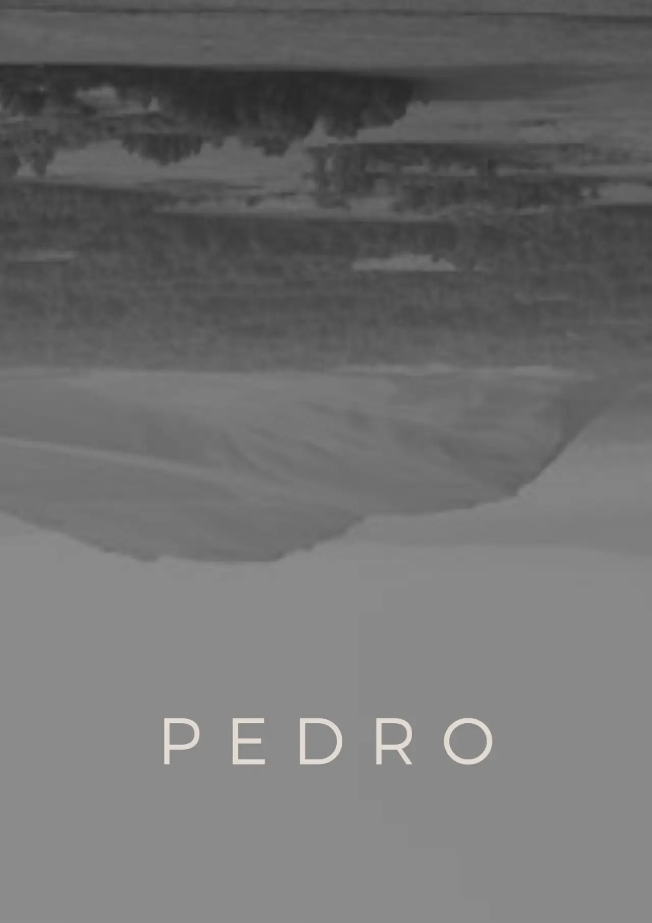 Постер к фильму "Pedro"