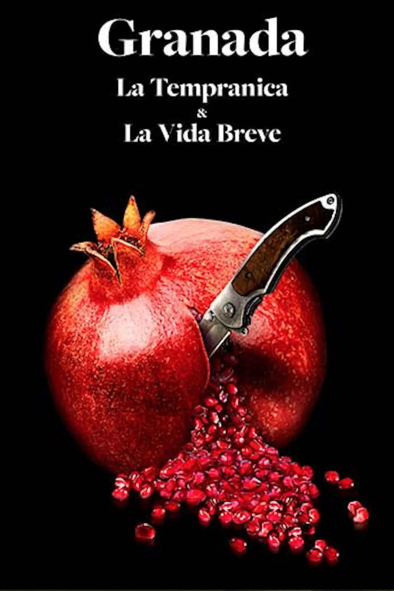 Постер к фильму "La vida breve"