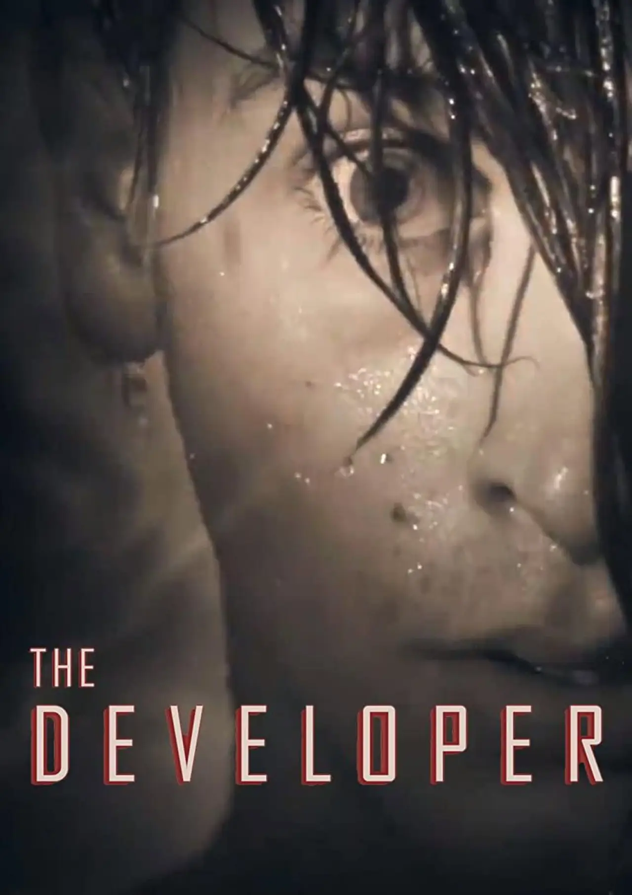 Постер к фильму "The Developer"