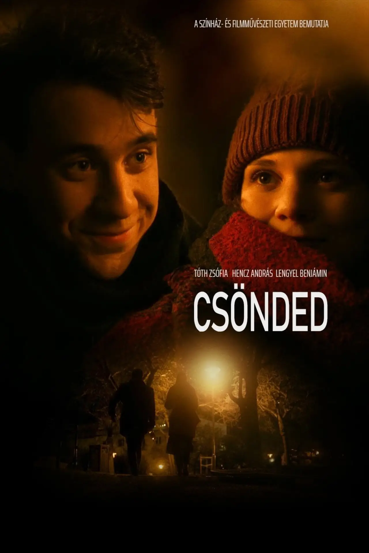 Постер к фильму "Csönded"