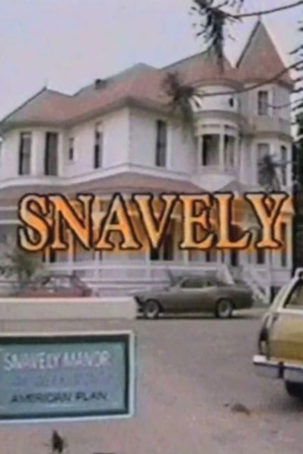 Постер к фильму "Snavely"