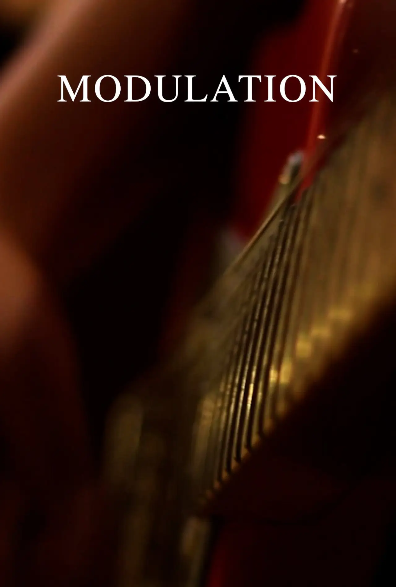Постер к фильму "Modulation"