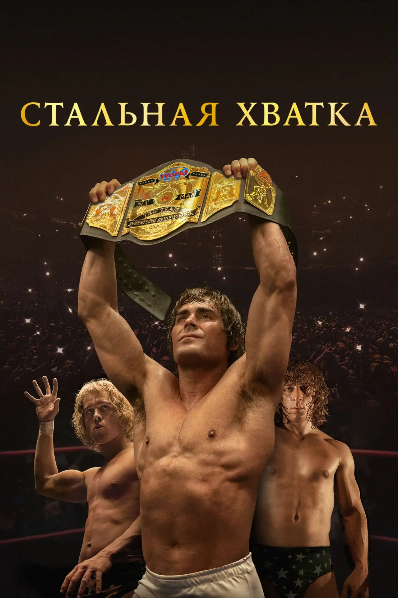 Постер к фильму "Стальная хватка"