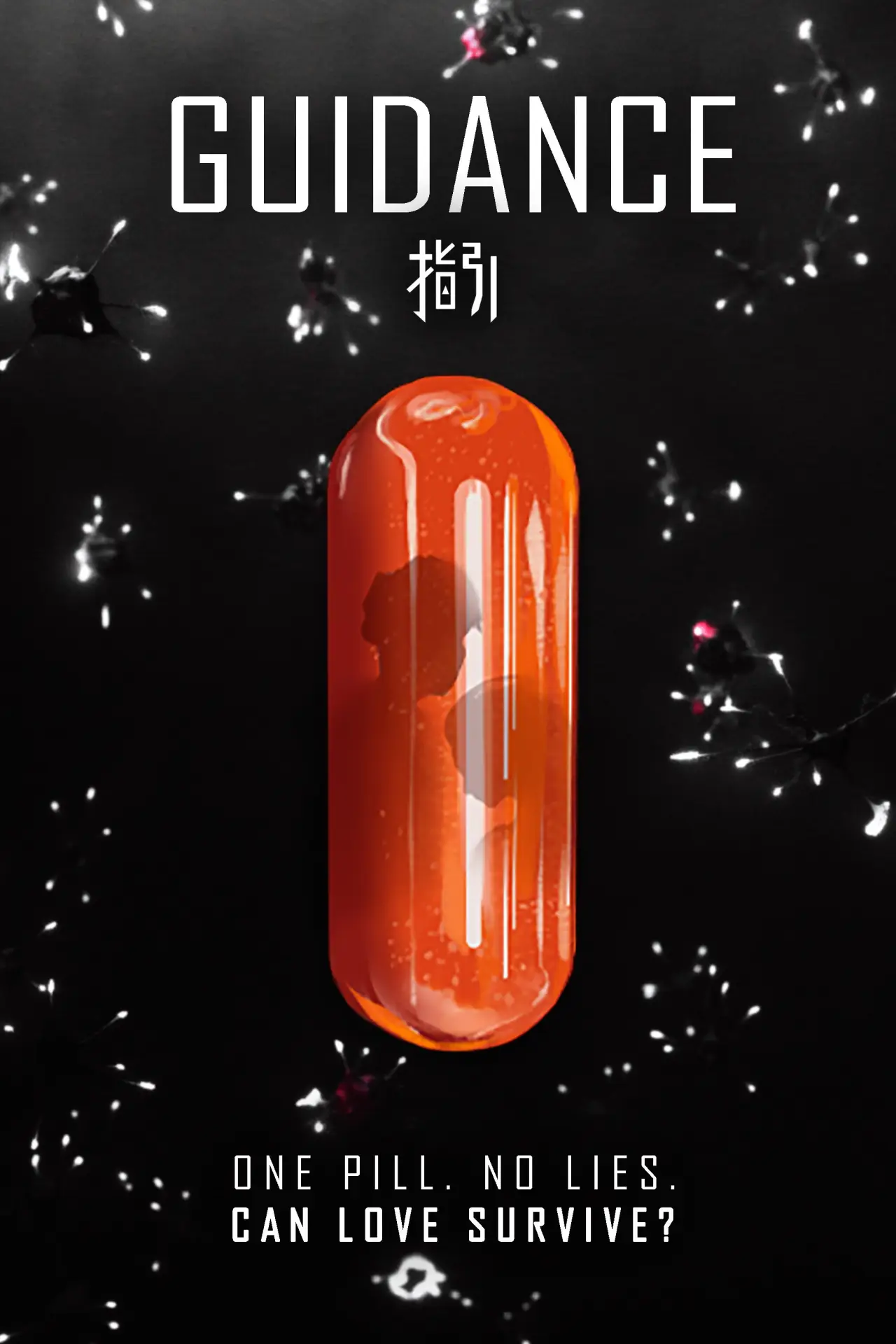Постер к фильму "指引"
