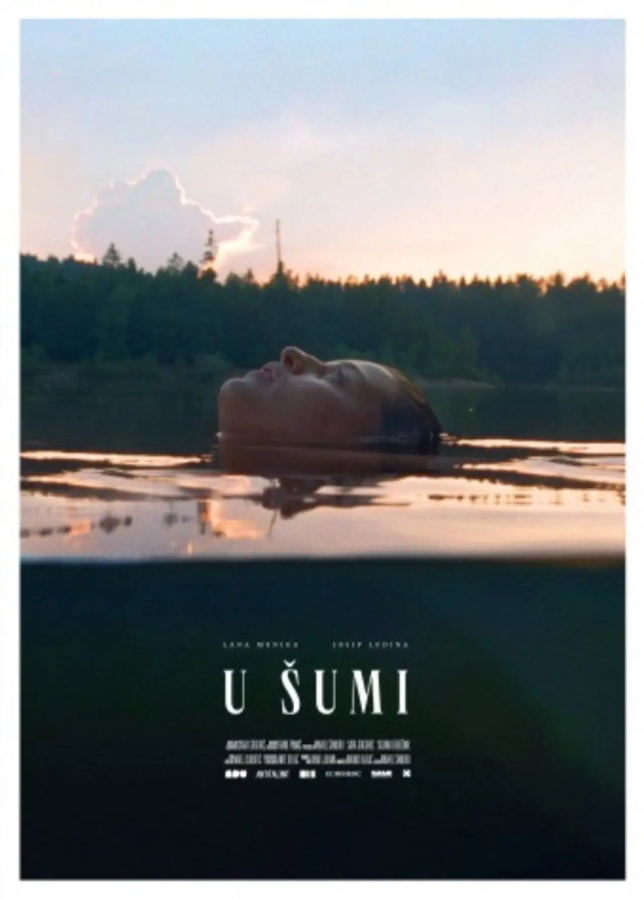 Постер к фильму "U šumi"