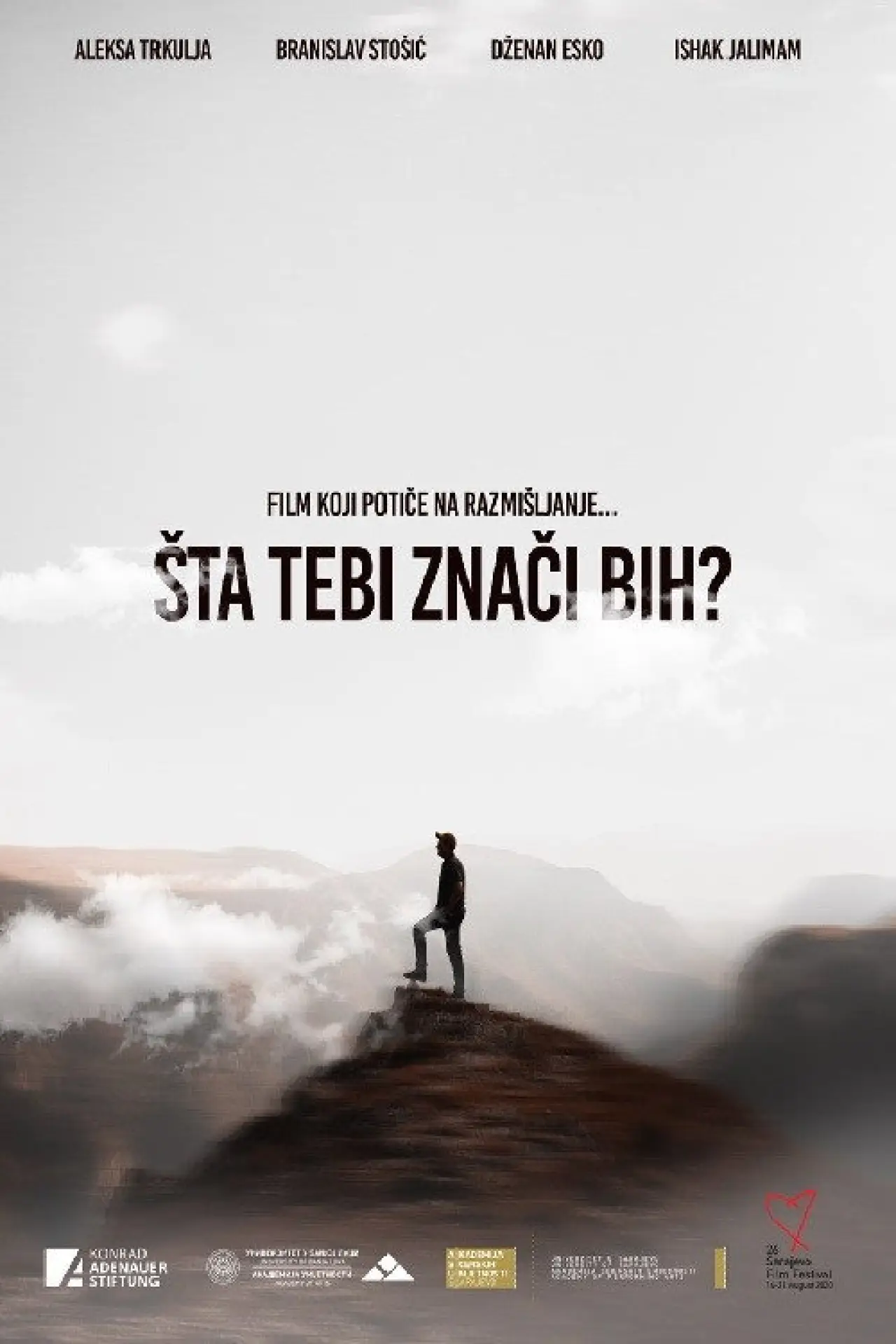 Постер к фильму "Šta tebi znači BiH?"