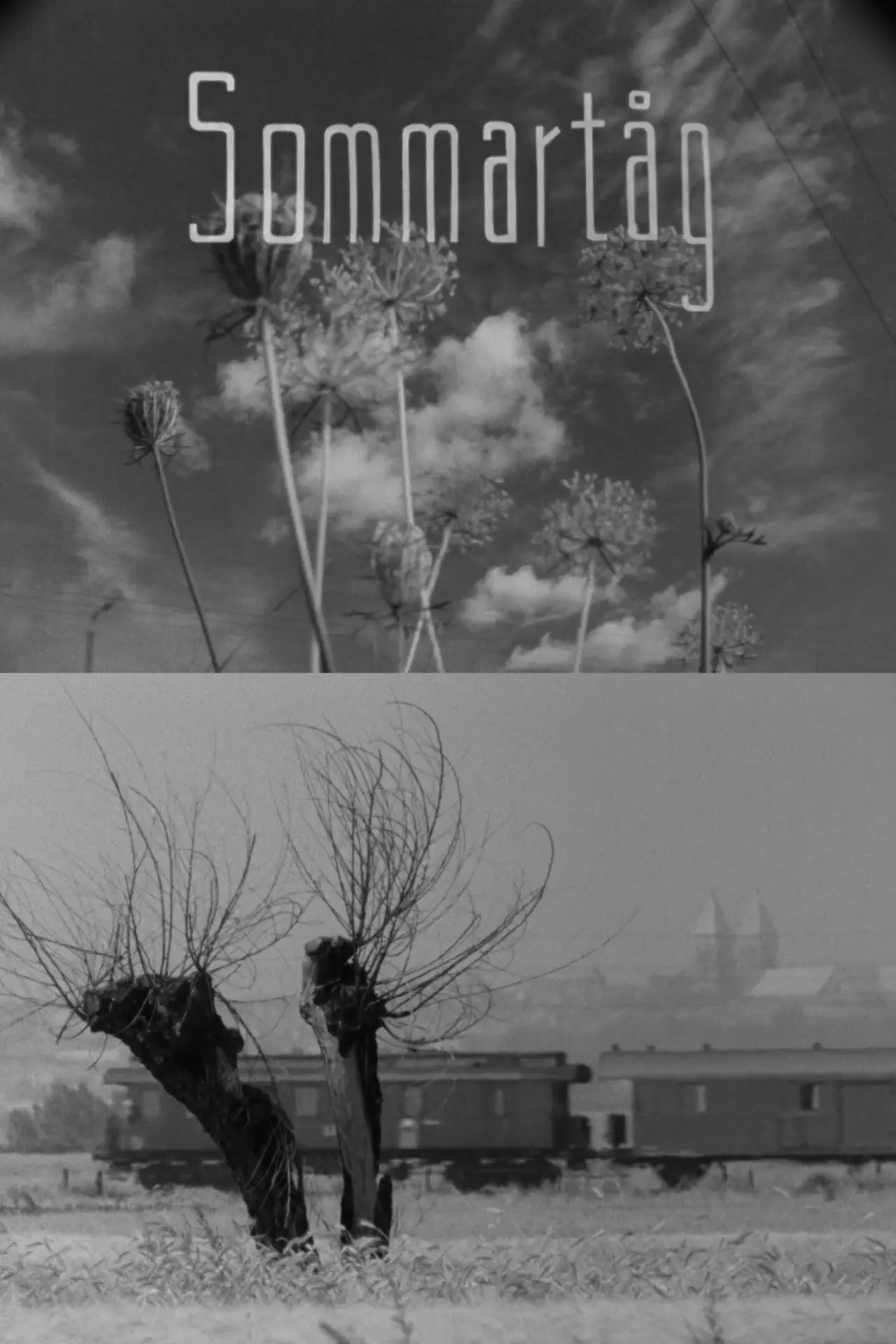 Постер к фильму "Sommartåg"