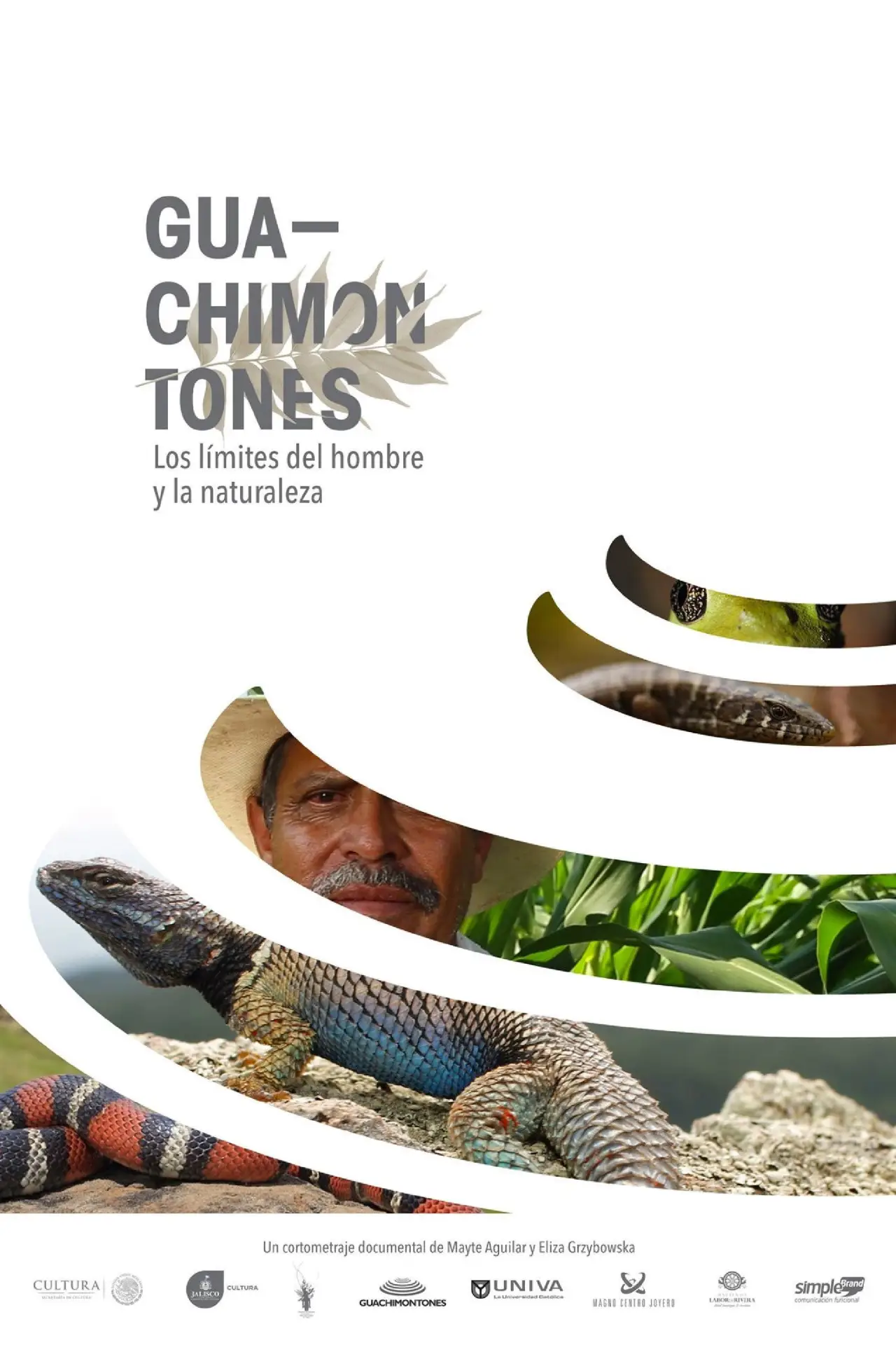 Постер к фильму "Guachimontones, los límites del hombre y la naturaleza."