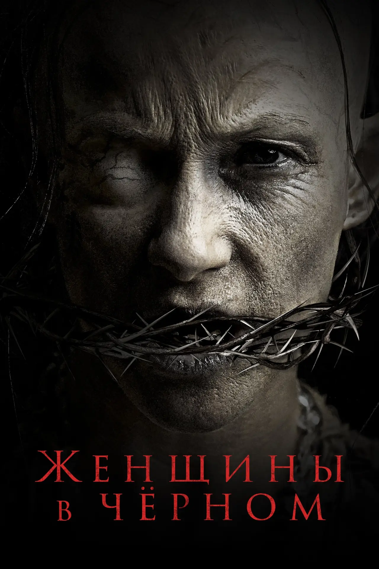 Постер к фильму "Женщины в чёрном"
