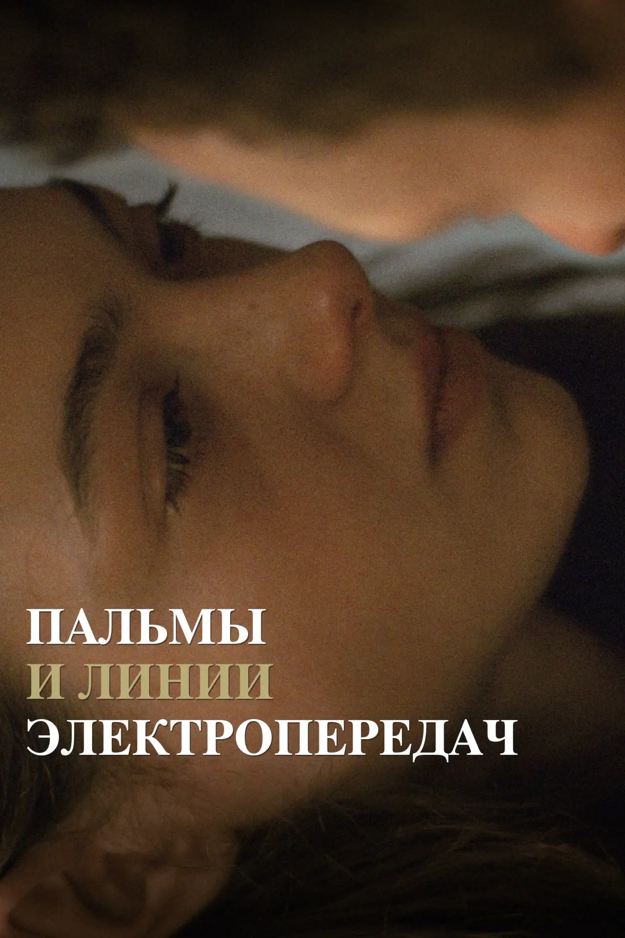 Постер к фильму "Пальмы и линии электропередач"