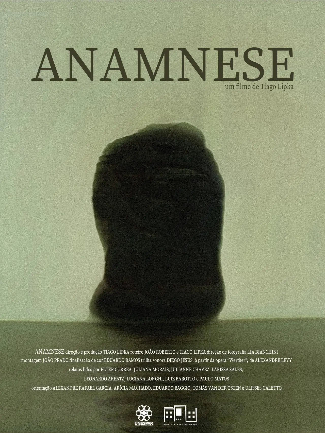 Постер к фильму "Anamnese"