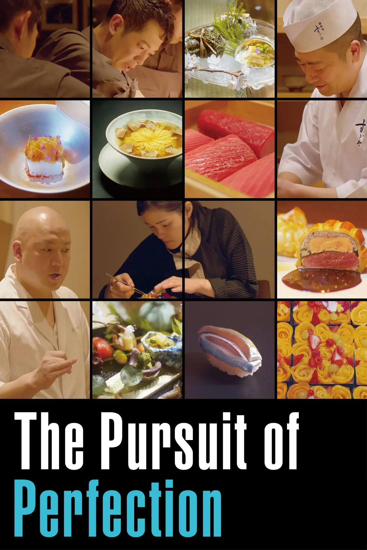 Постер к фильму "The Pursuit of Perfection"