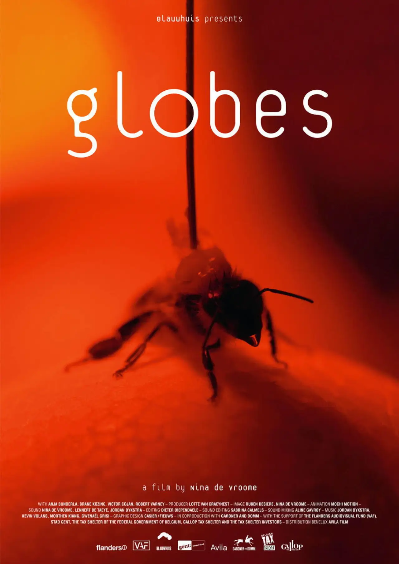 Постер к фильму "Globes"