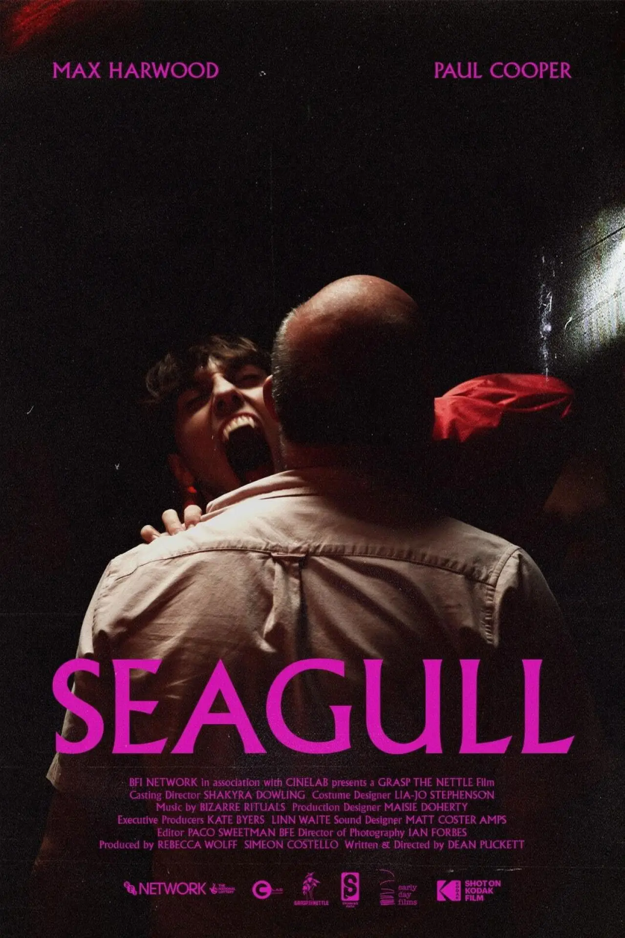 Постер к фильму "Seagull"