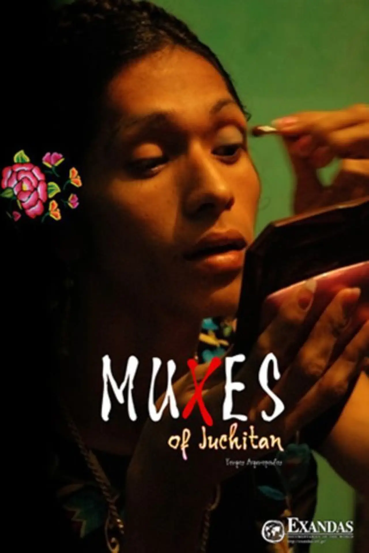 Постер к фильму "Muxes  deJuchitán"