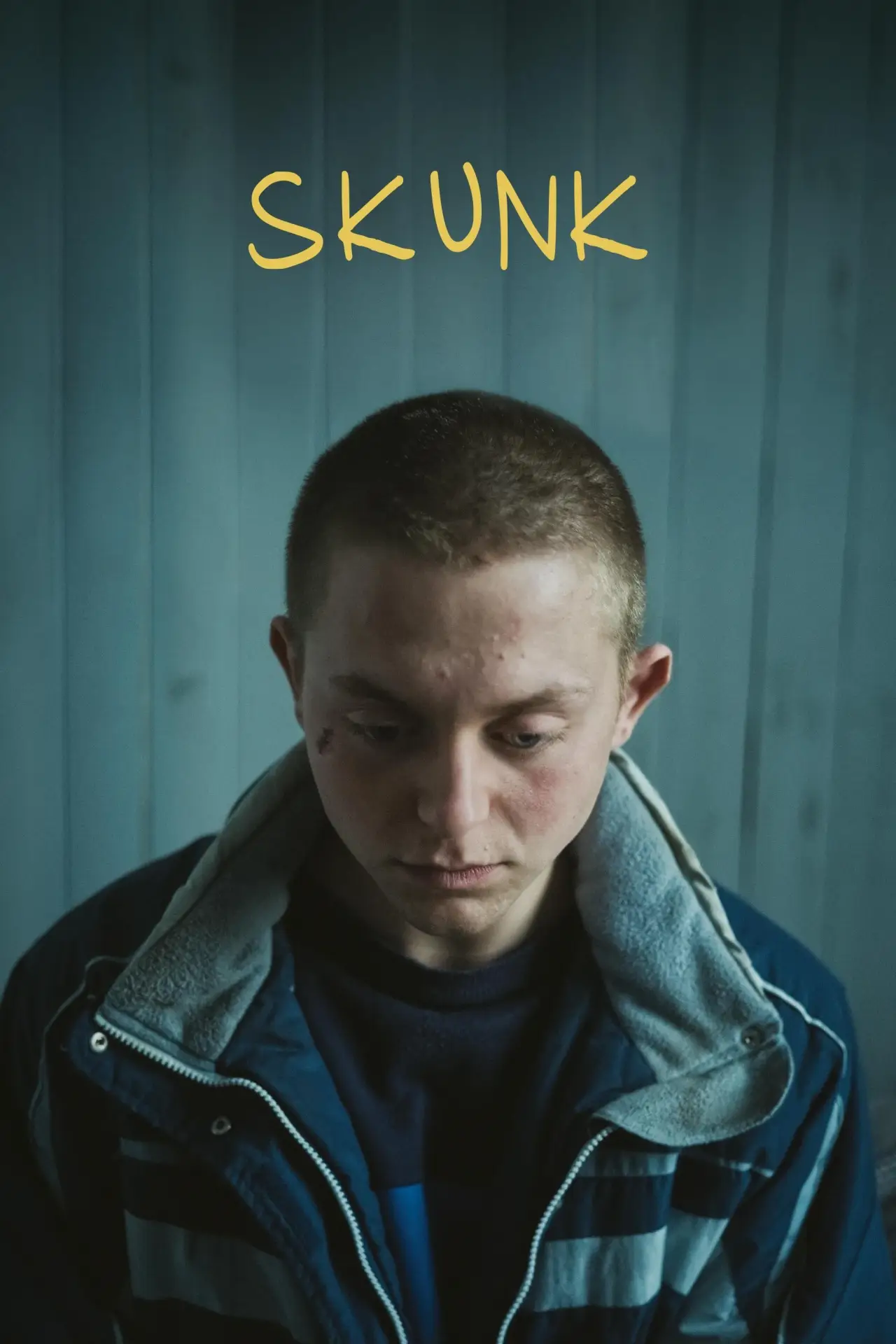 Постер к фильму "Скунс"