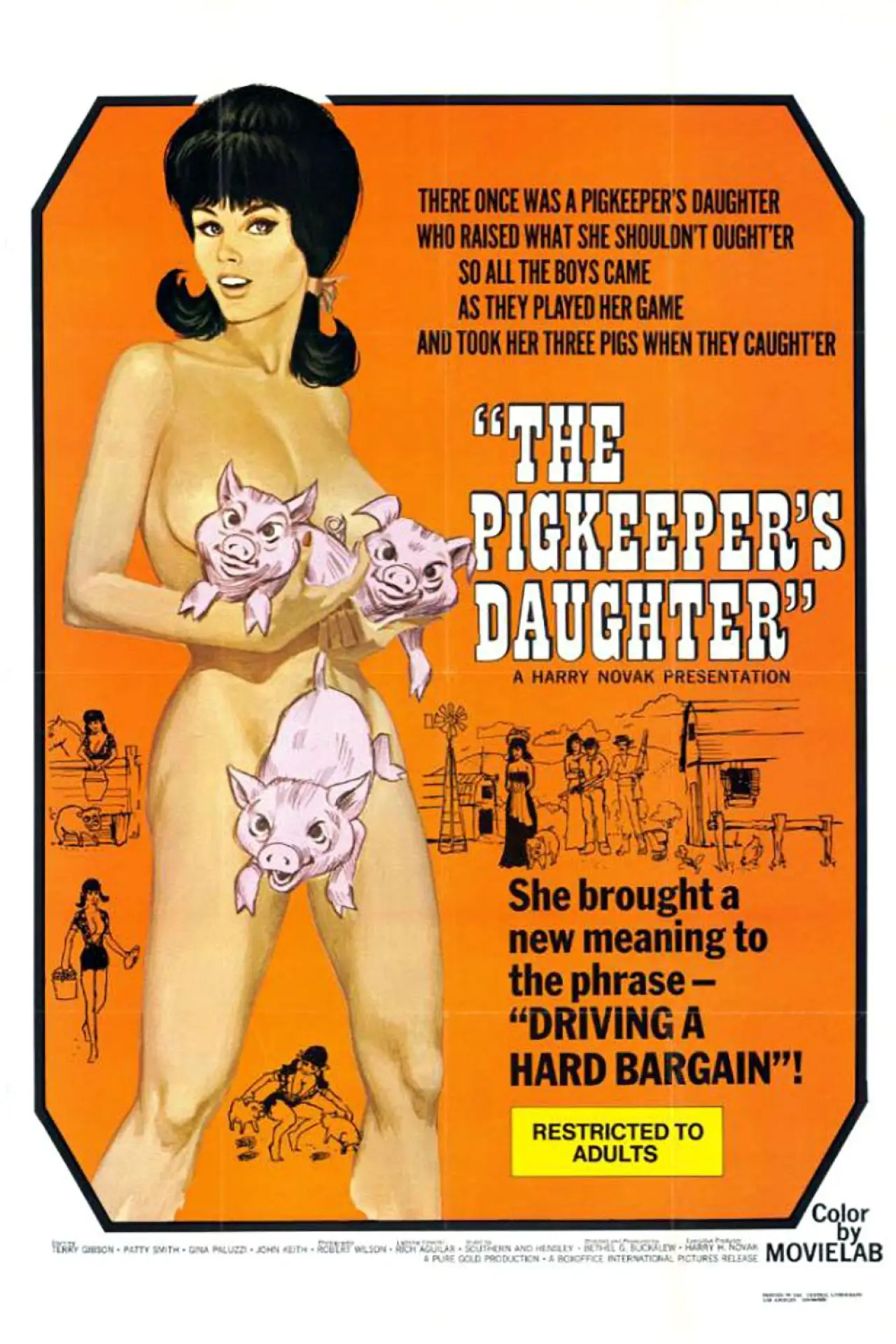 Постер к фильму "The Pig Keeper