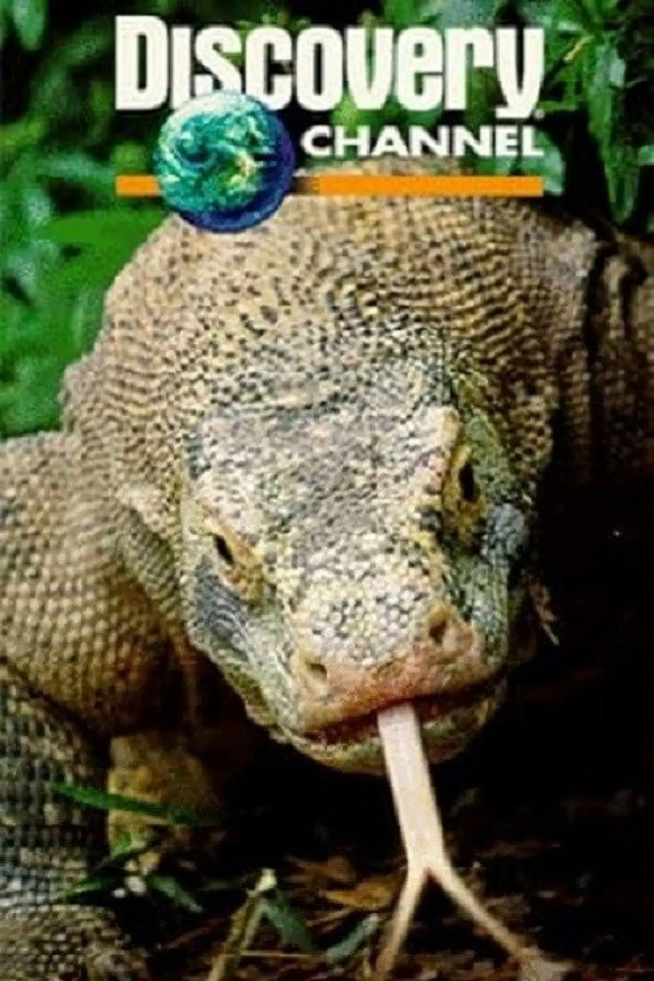 Постер к фильму "Dragons of Komodo"