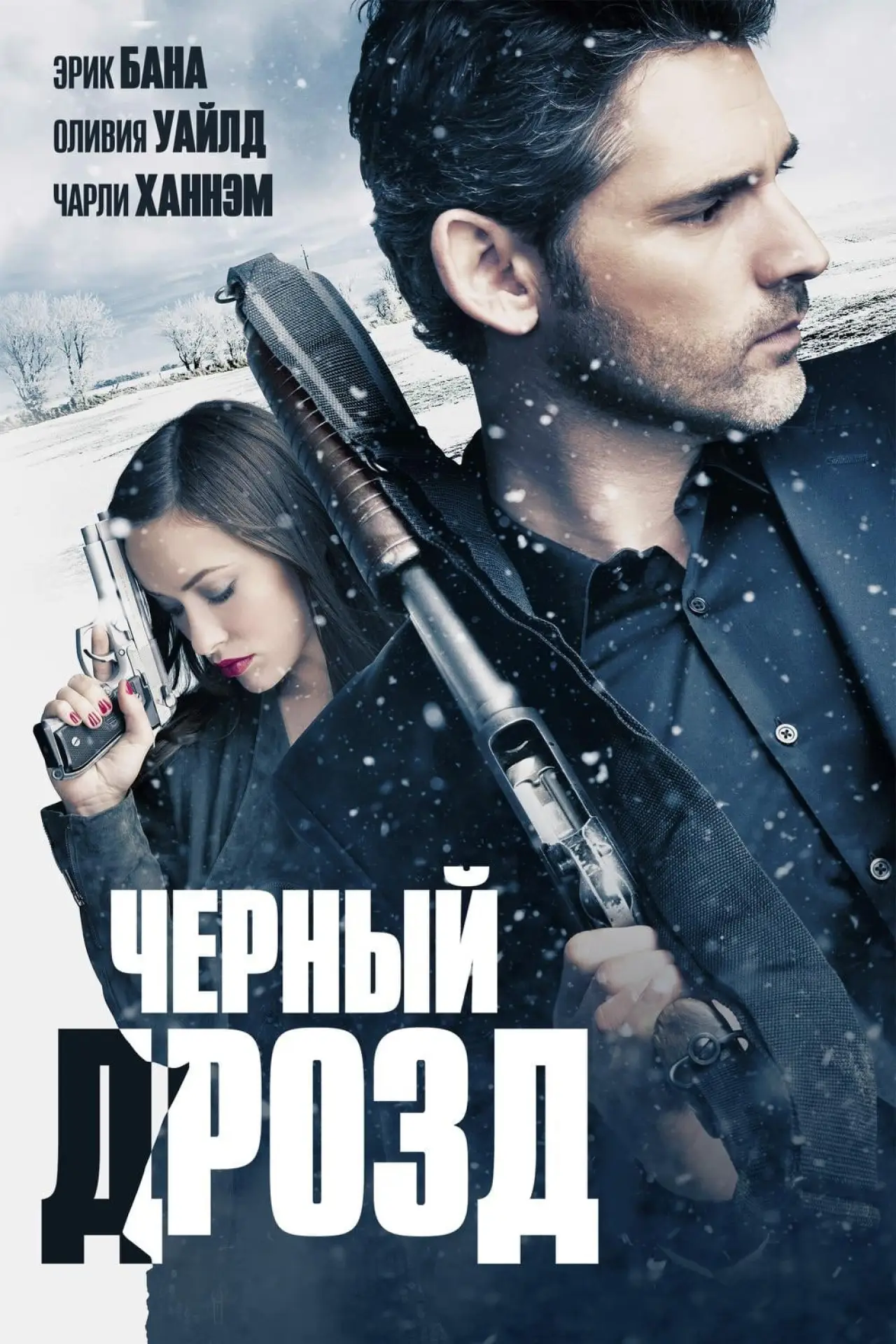 Постер к фильму "Чёрный дрозд"