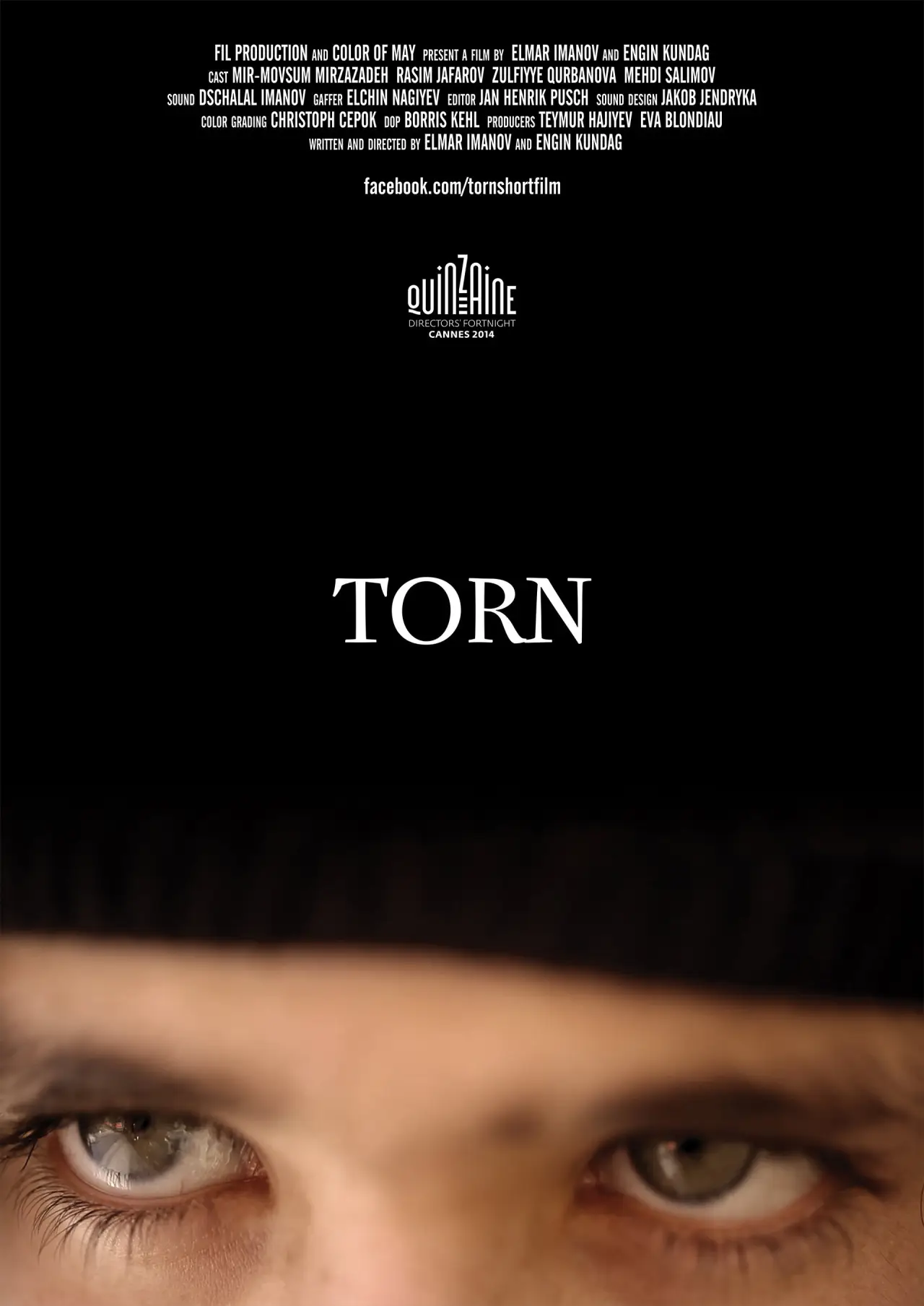 Постер к фильму "Torn"