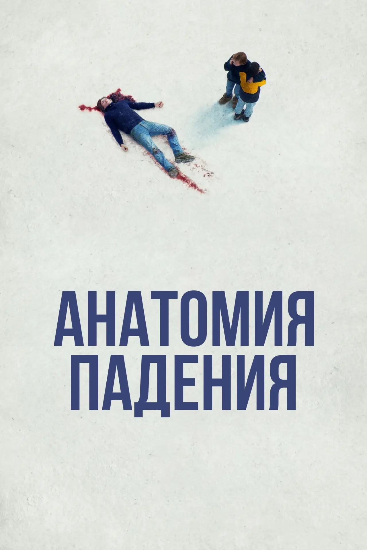 Постер к фильму "Анатомия падения"