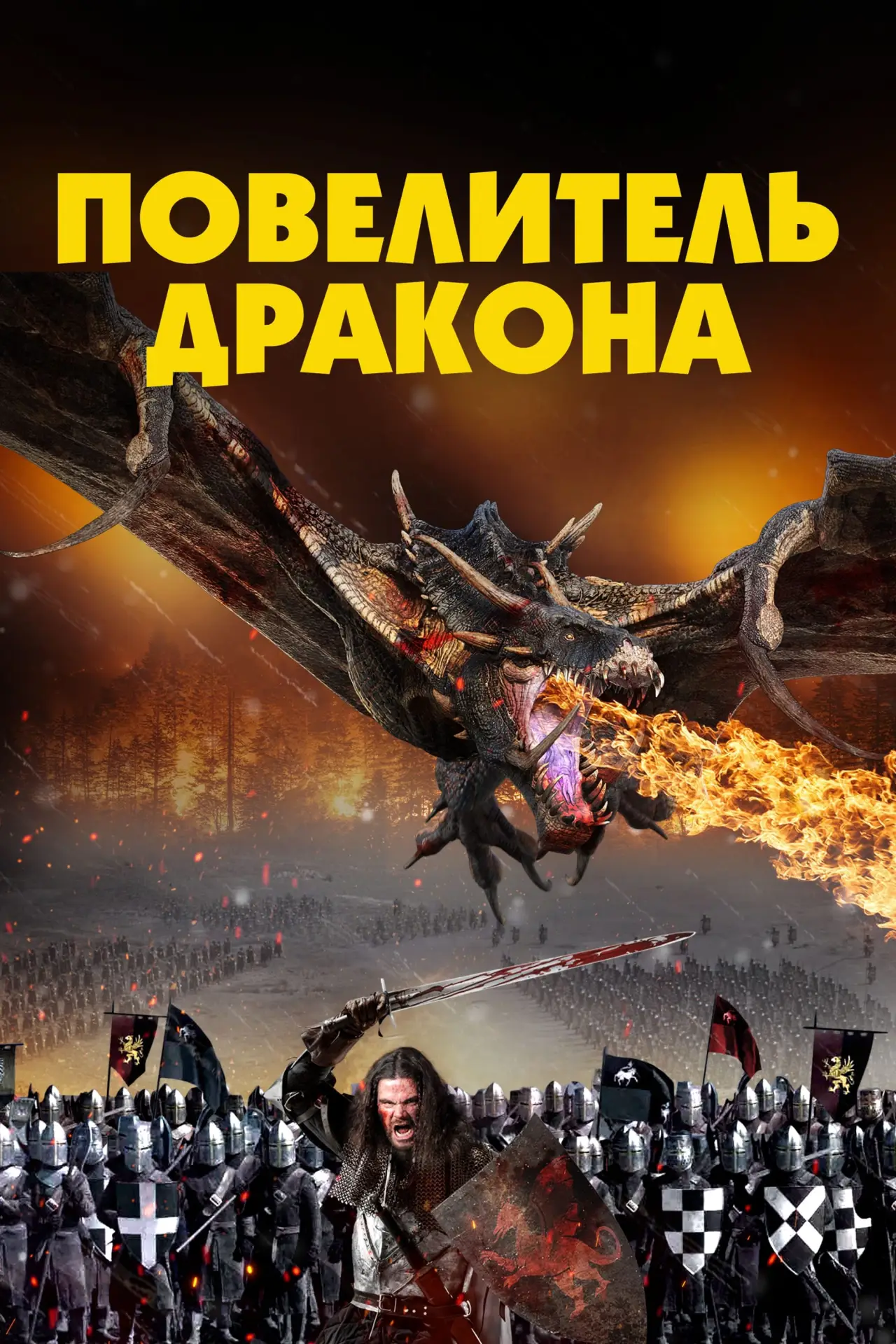 Постер к фильму "Повелитель Дракона"