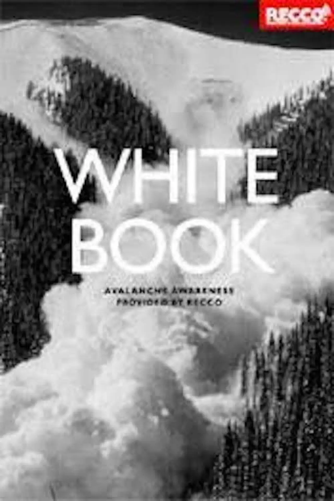 Постер к фильму "Whitebook"
