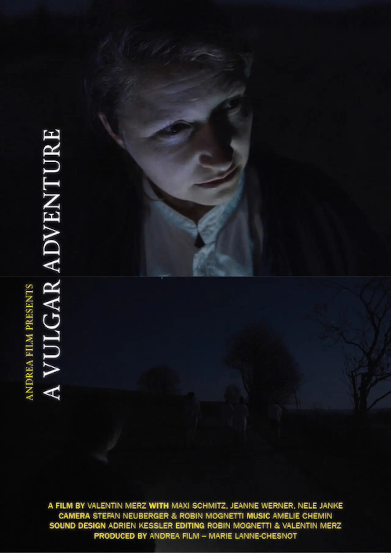 Постер к фильму "Ein Vulgäres Abenteuer"