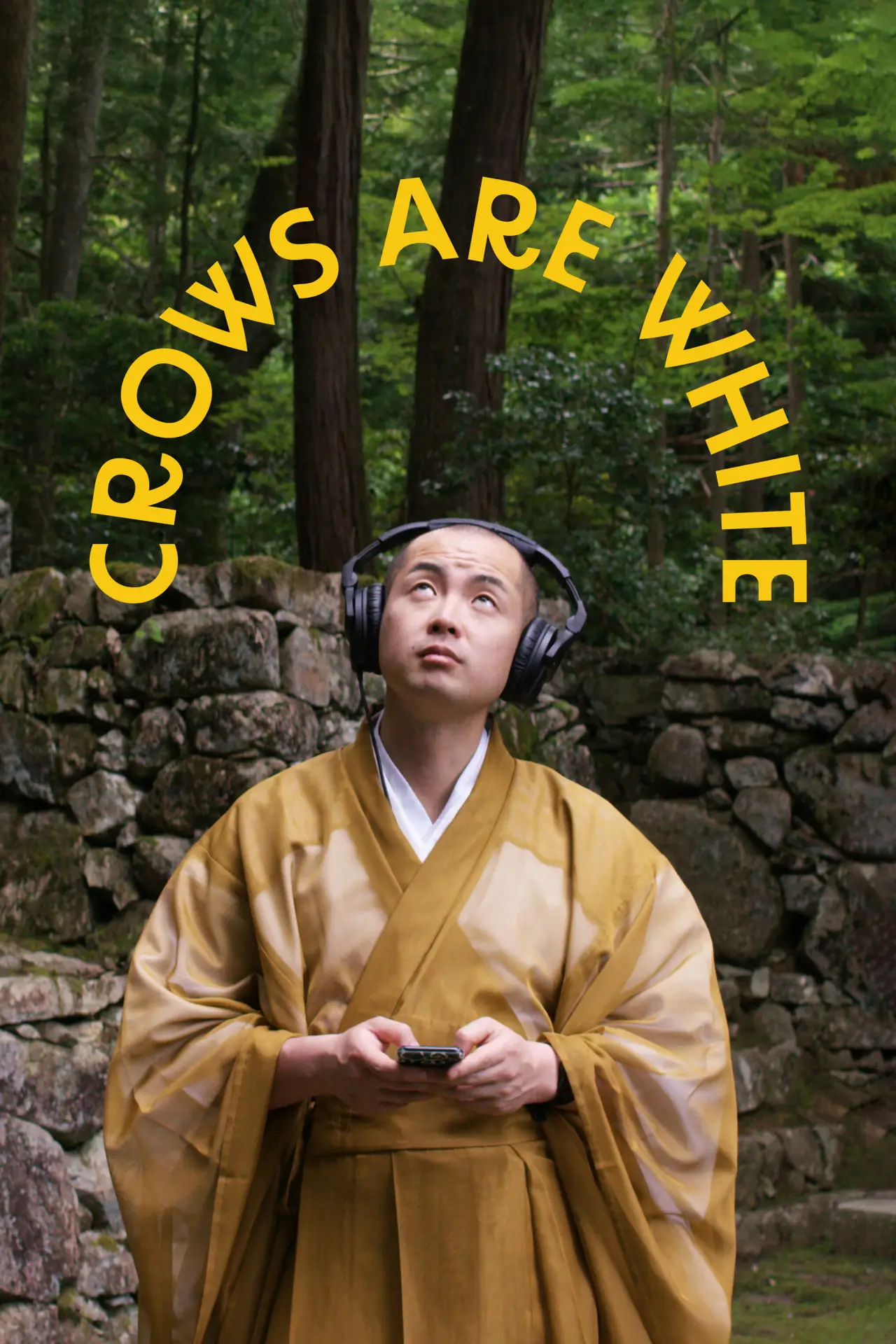 Постер к фильму "Crows Are White"