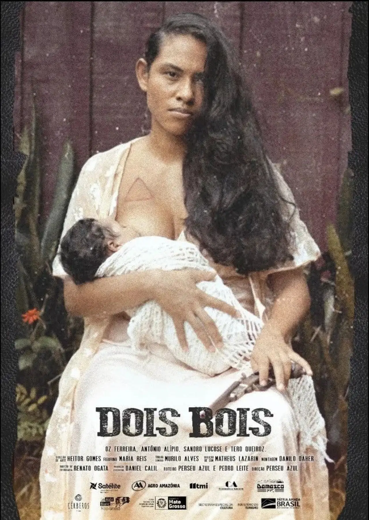 Постер к фильму "Dois Bois"