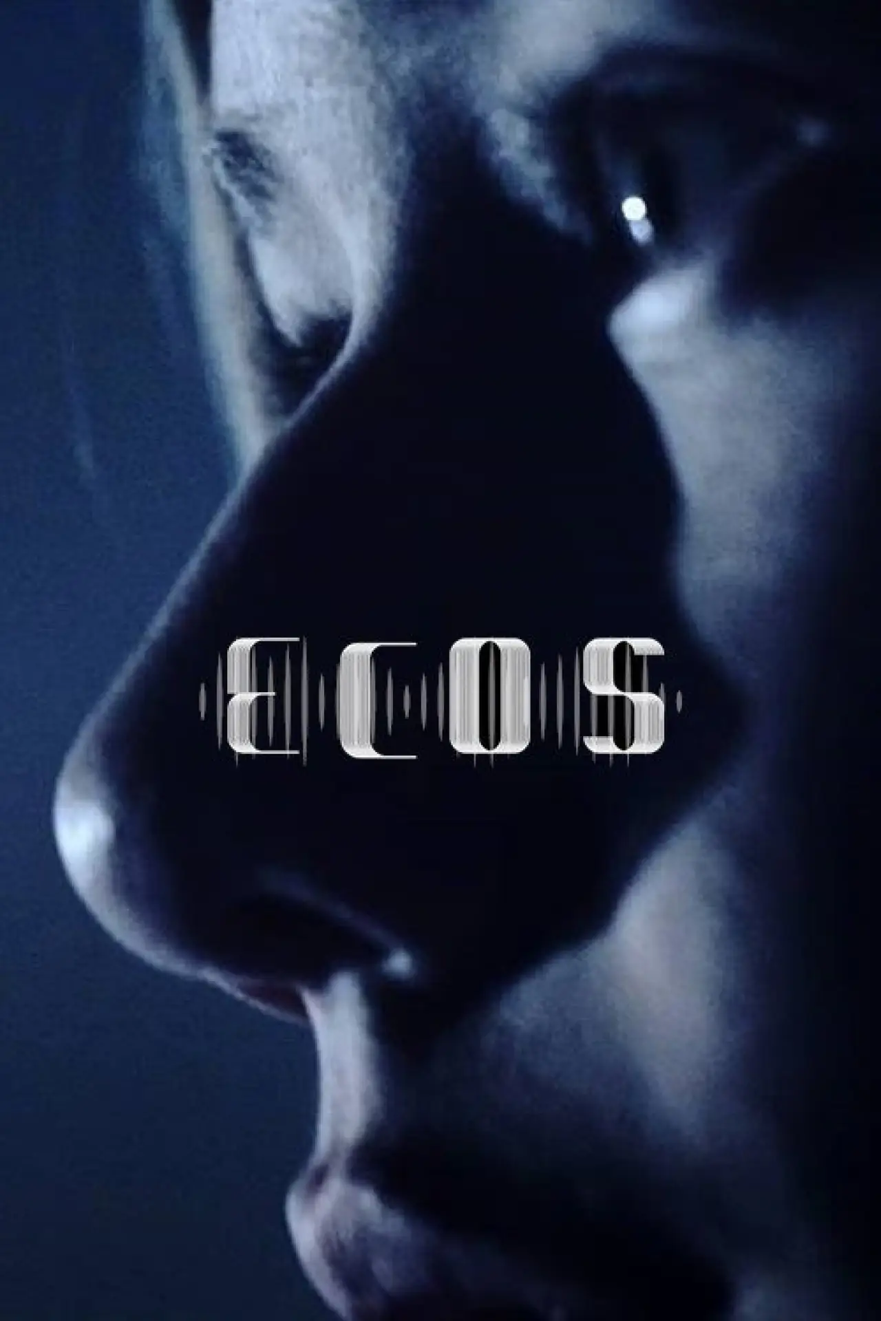 Постер к фильму "Ecos"