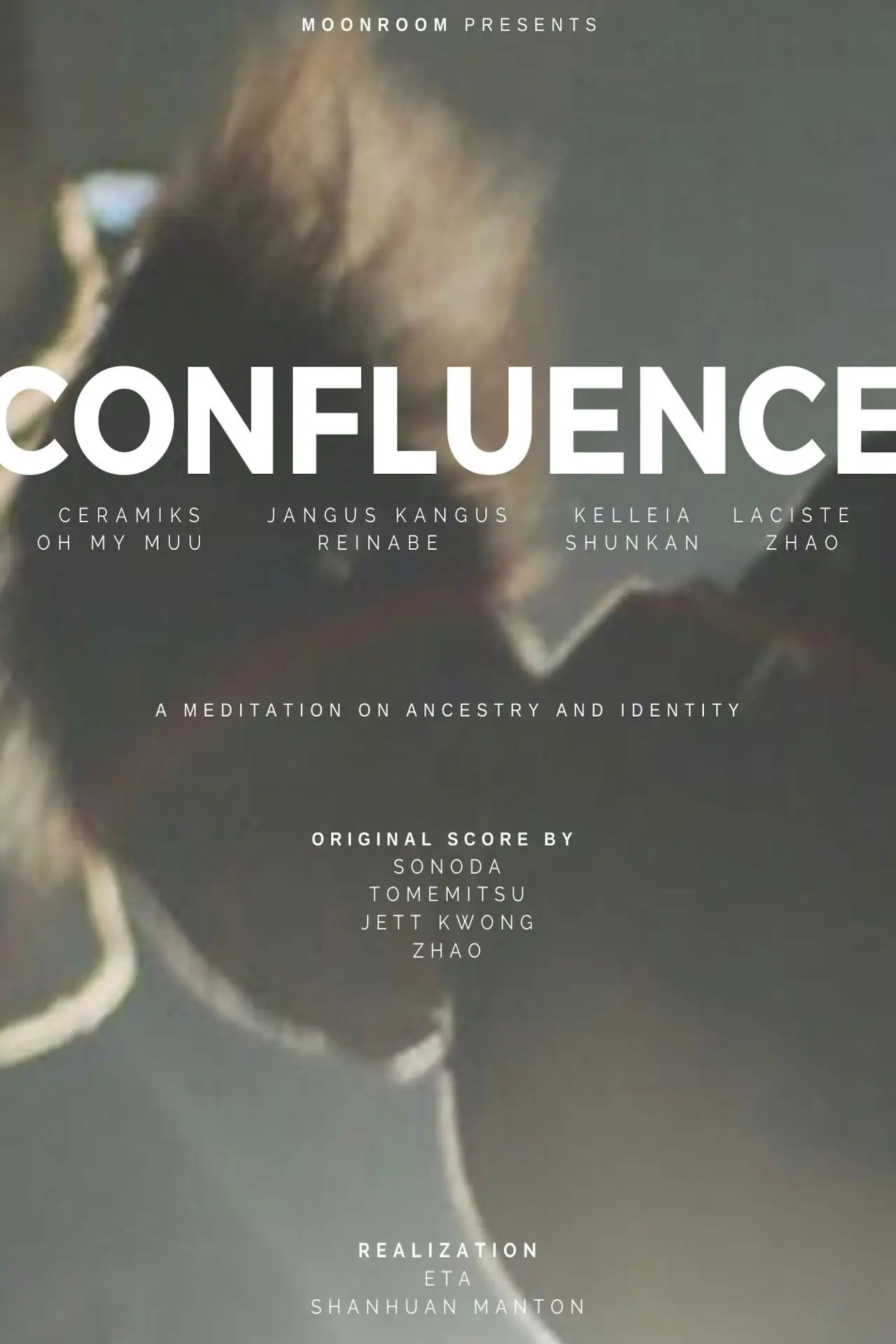 Постер к фильму "Confluence: A Meditation in Documentary Form"