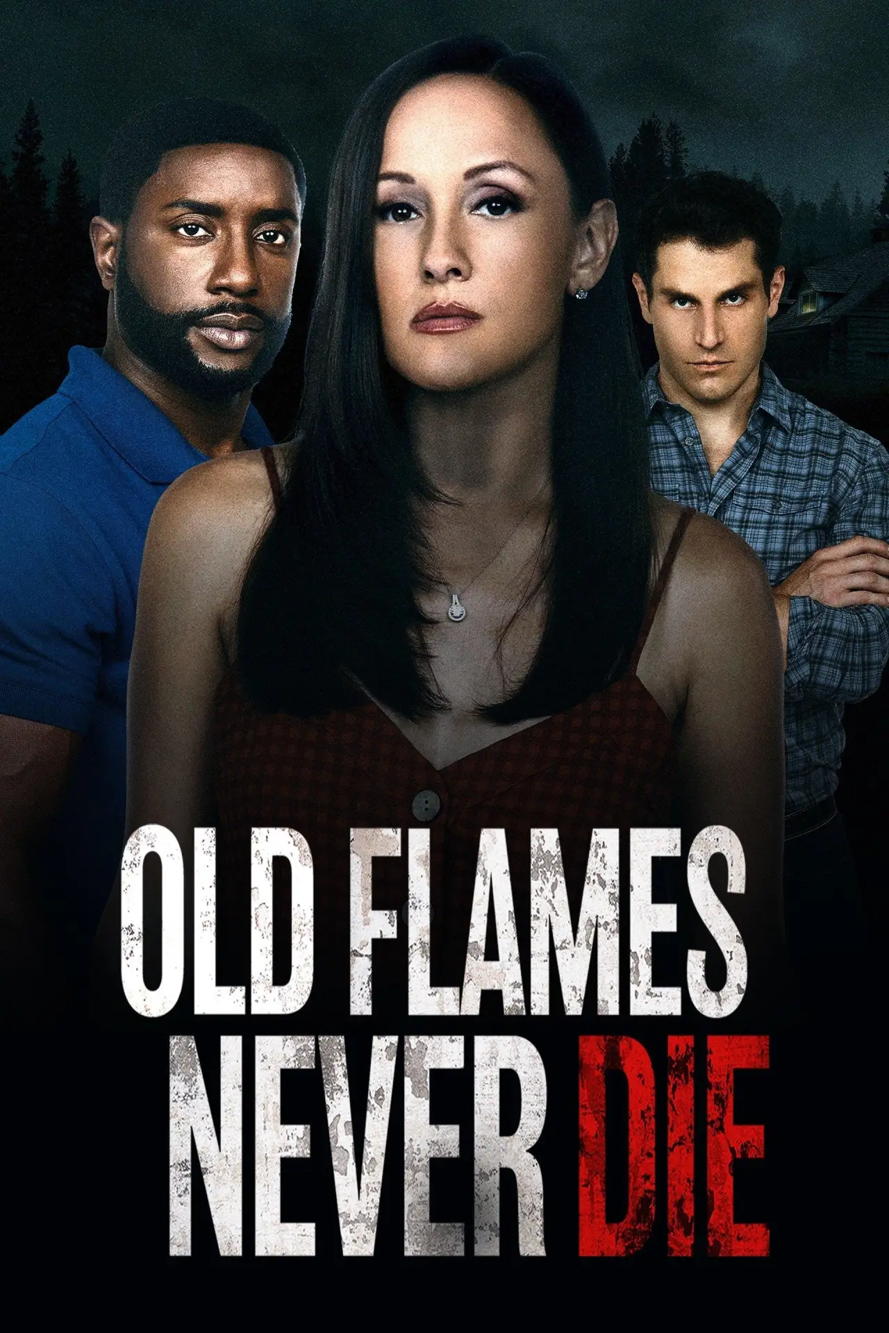 Постер к фильму "Old Flames Never Die"