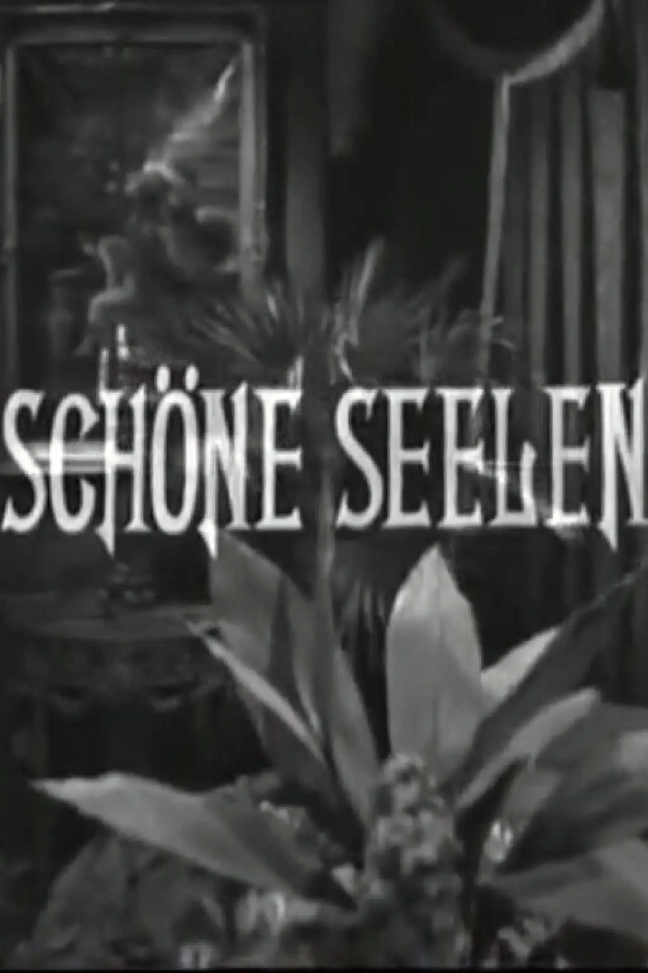 Постер к фильму "Schöne Seelen"