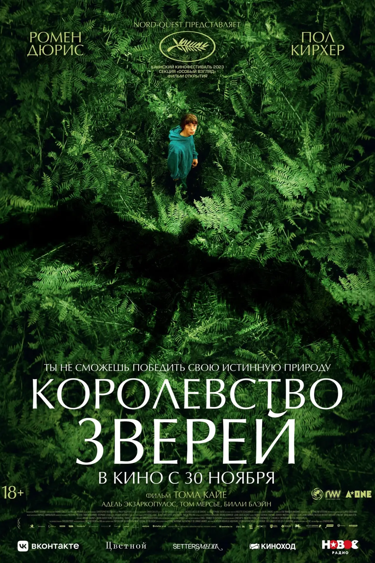 Постер к фильму "Королевство зверей"