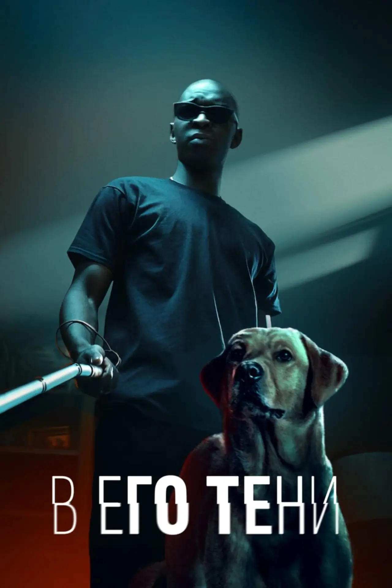 Постер к фильму "В его тени"