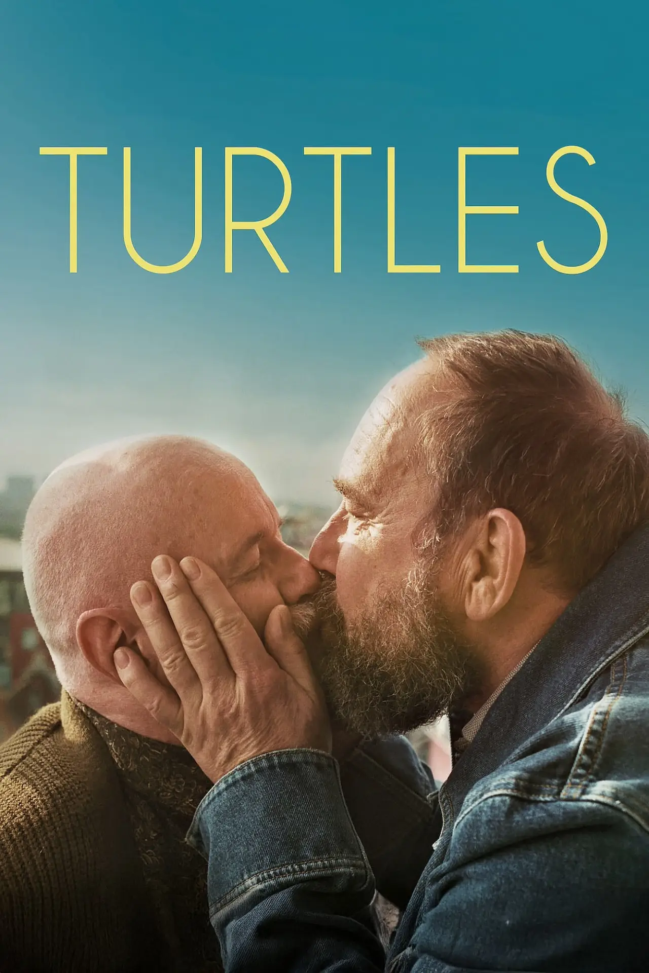 Постер к фильму "Les tortues"