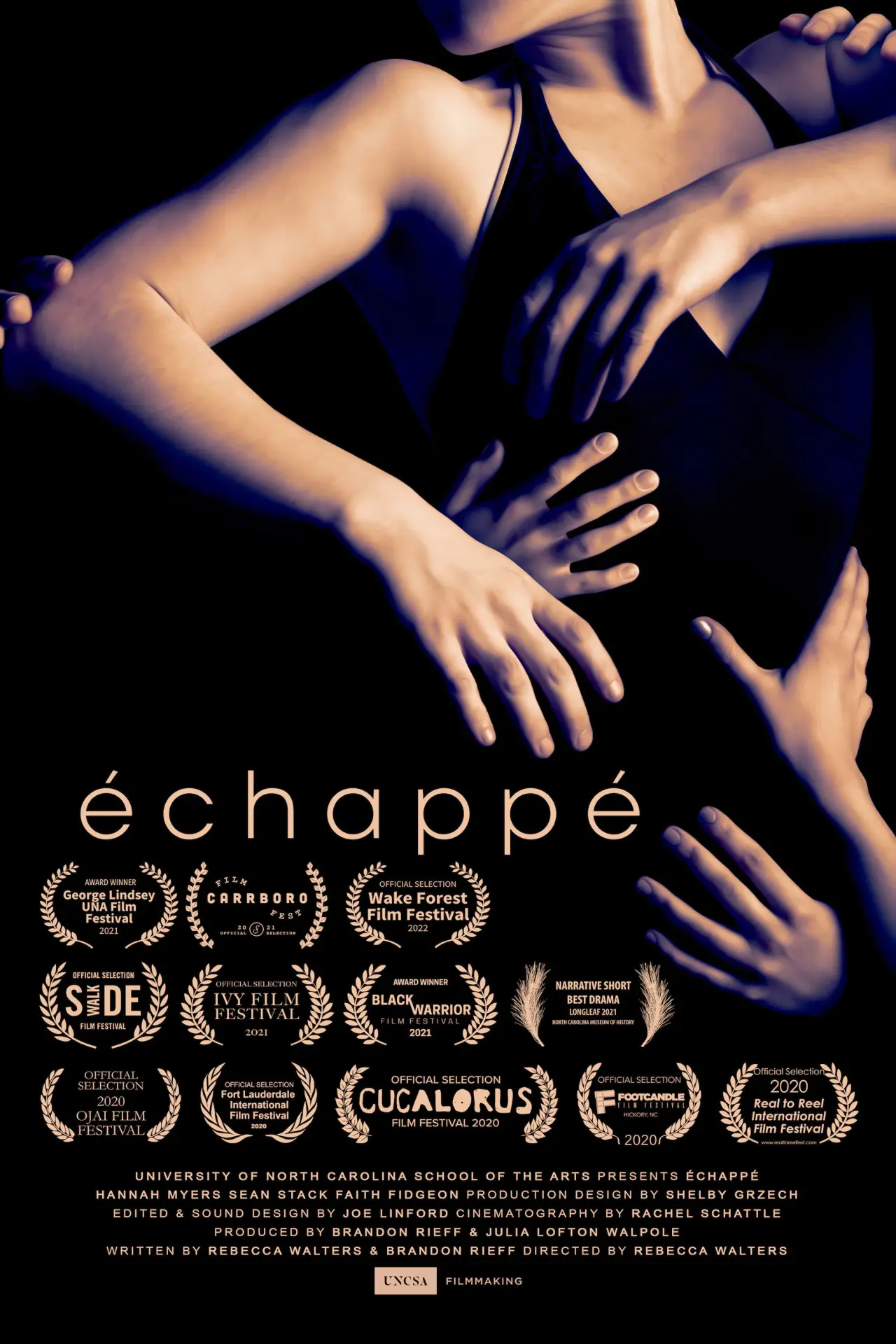 Постер к фильму "échappé"