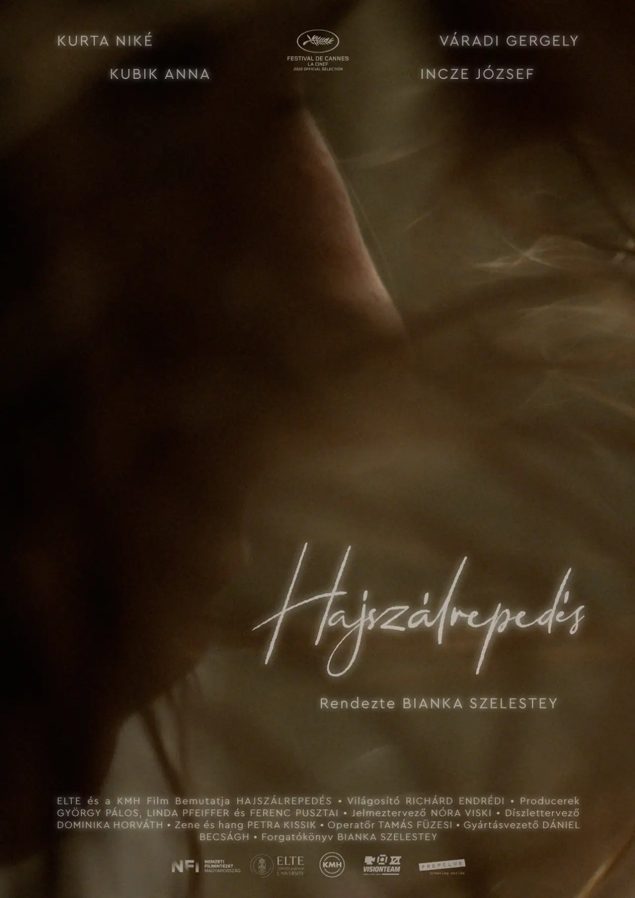 Постер к фильму "Craze"