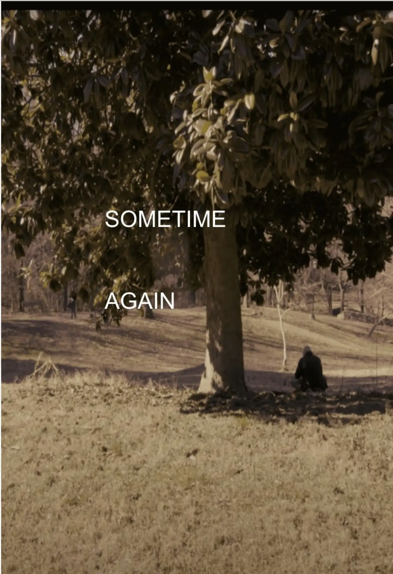 Постер к фильму "Sometime Again"