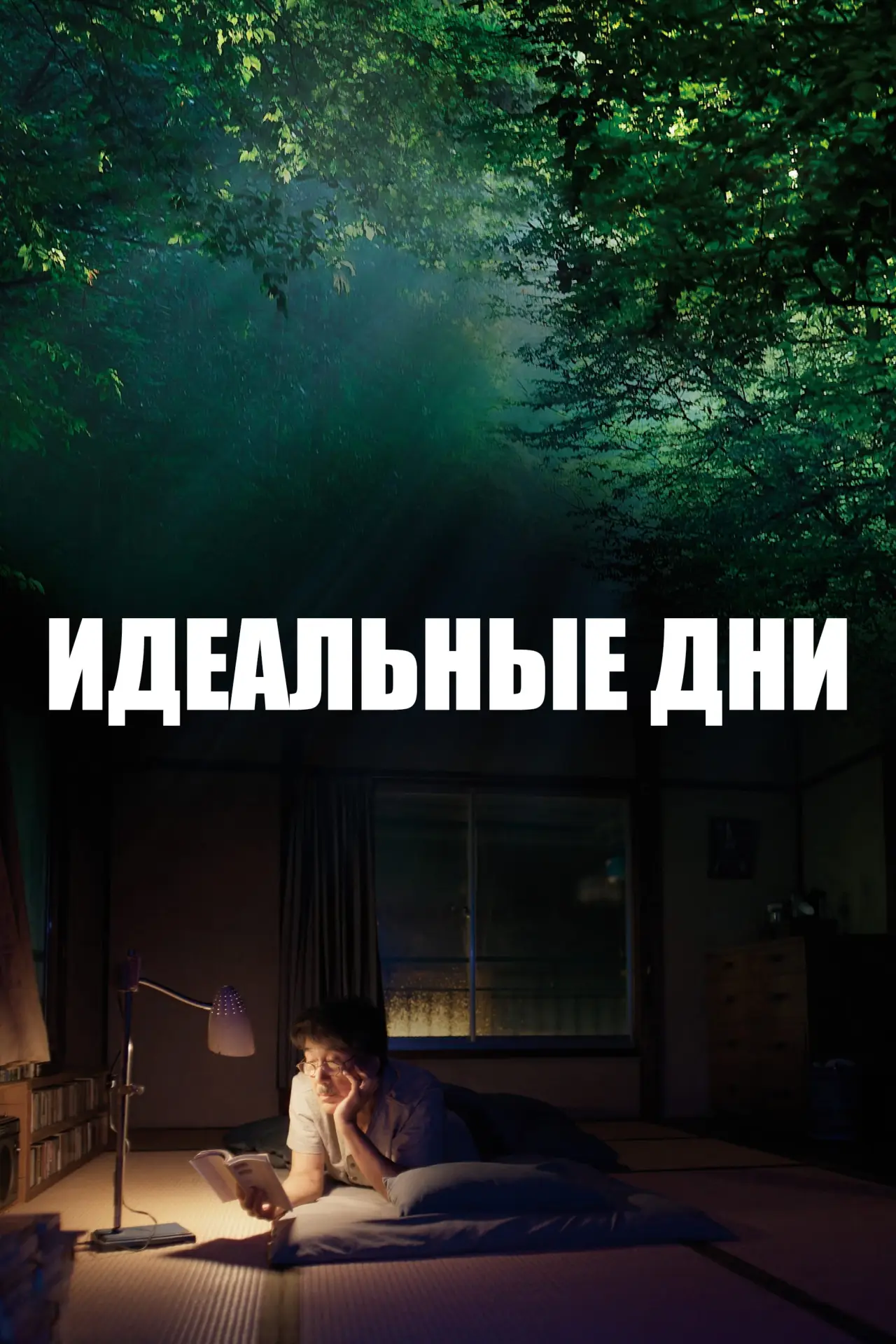 Постер к фильму "Идеальные дни"