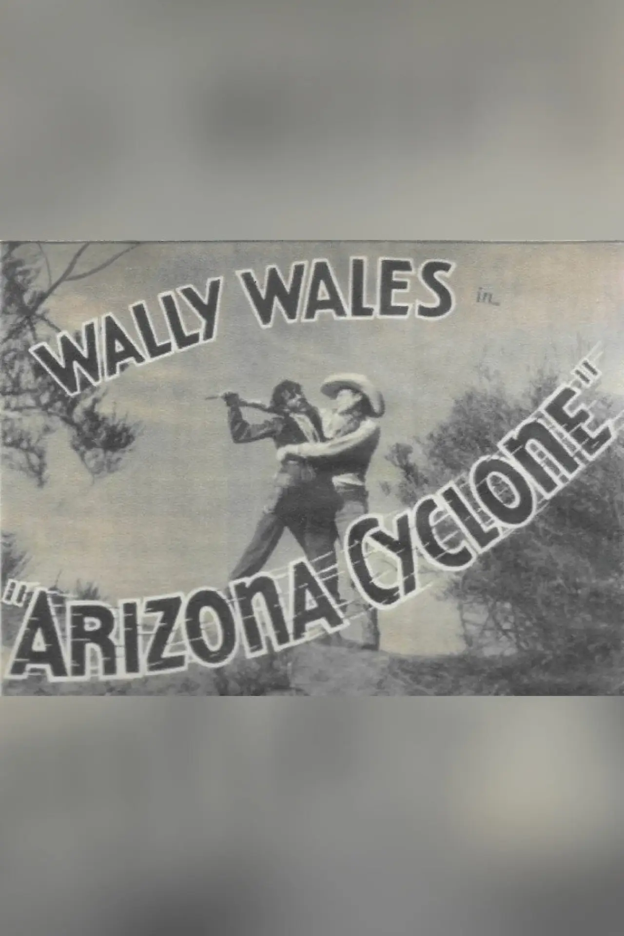 Постер к фильму "Arizona Cyclone"